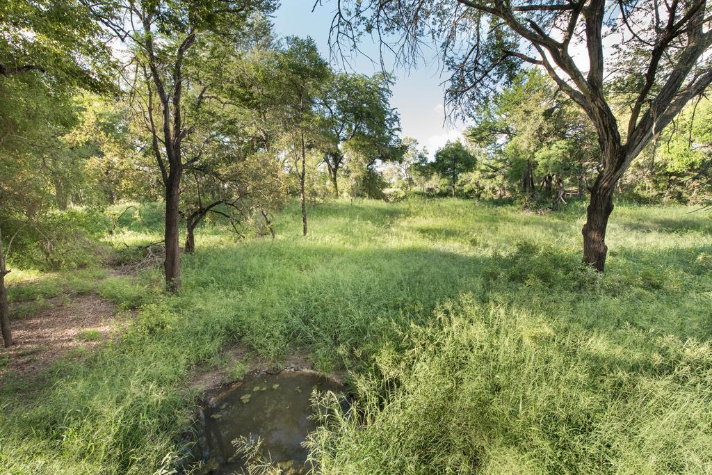 Ndzhaka Tented Camp заповідник Маньєлеті Екстер'єр фото