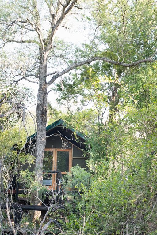 Ndzhaka Tented Camp заповідник Маньєлеті Екстер'єр фото